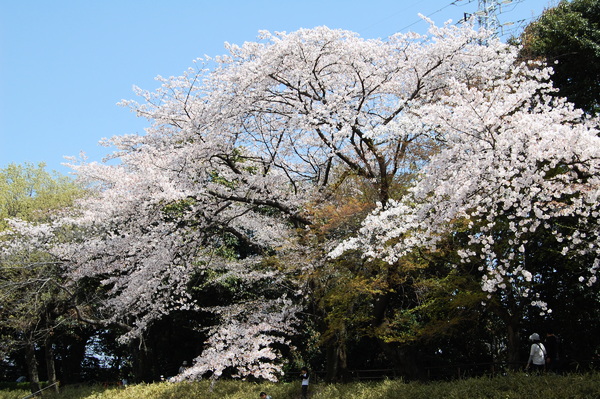 f:id:gzutetsu:20110410122942j:image