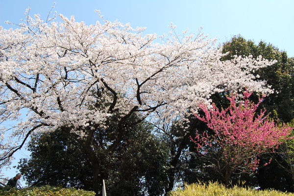 f:id:gzutetsu:20110410123350j:image