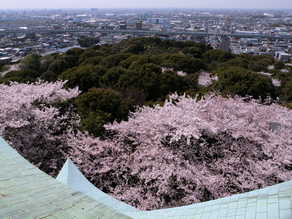 f:id:gzutetsu:20110410130051j:image