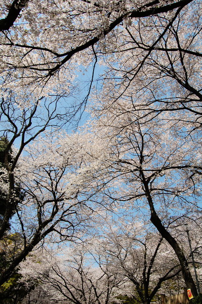 f:id:gzutetsu:20110410130107j:image
