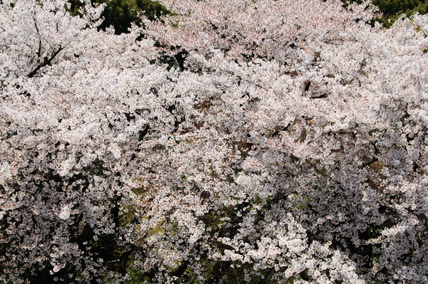 f:id:gzutetsu:20110410132213j:image