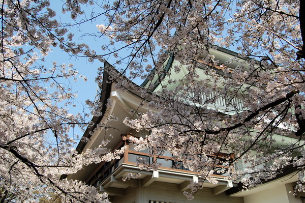 f:id:gzutetsu:20110410134839j:image