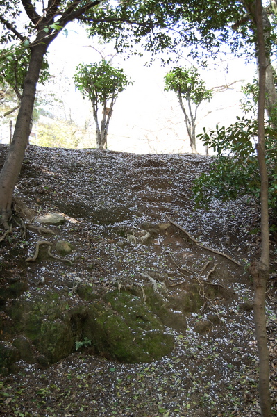 f:id:gzutetsu:20110410135811j:image