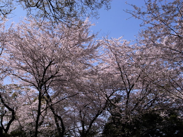 f:id:gzutetsu:20110410135813j:image