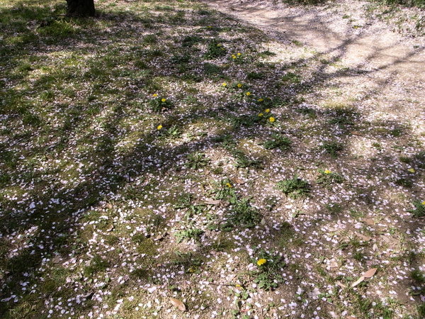 f:id:gzutetsu:20110410135838j:image