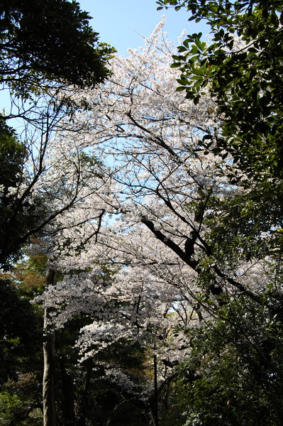 f:id:gzutetsu:20110410140736j:image
