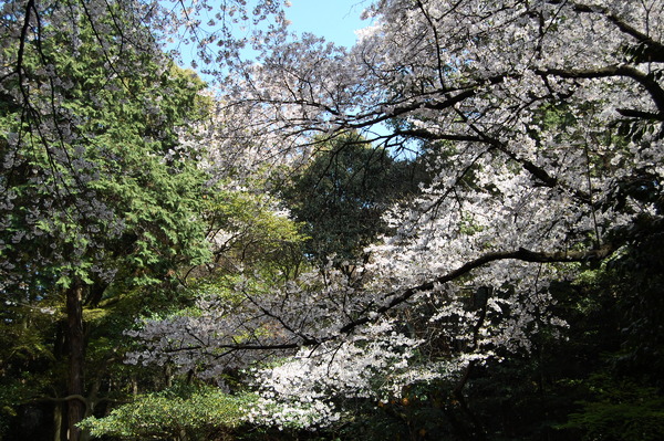f:id:gzutetsu:20110410142426j:image