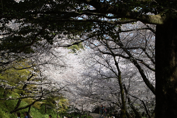f:id:gzutetsu:20110410144502j:image