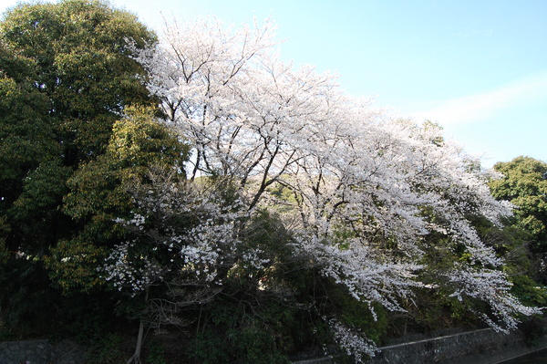 f:id:gzutetsu:20110410145342j:image