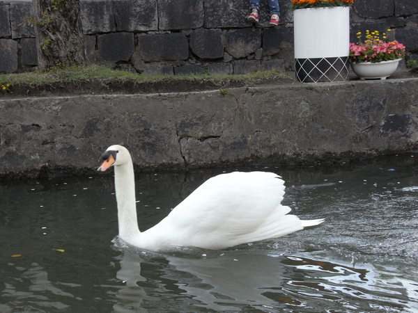 f:id:gzutetsu:20110429154139j:image