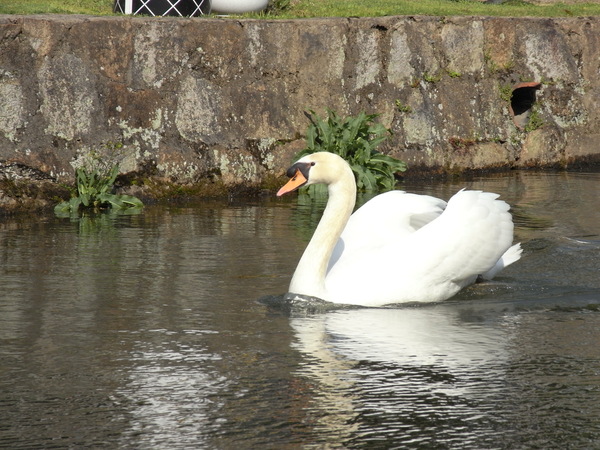 f:id:gzutetsu:20110429154749j:image