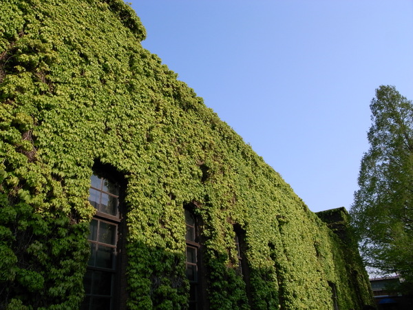 f:id:gzutetsu:20110429161830j:image