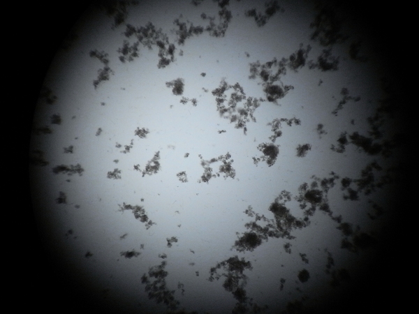 f:id:gzutetsu:20110515103916j:image