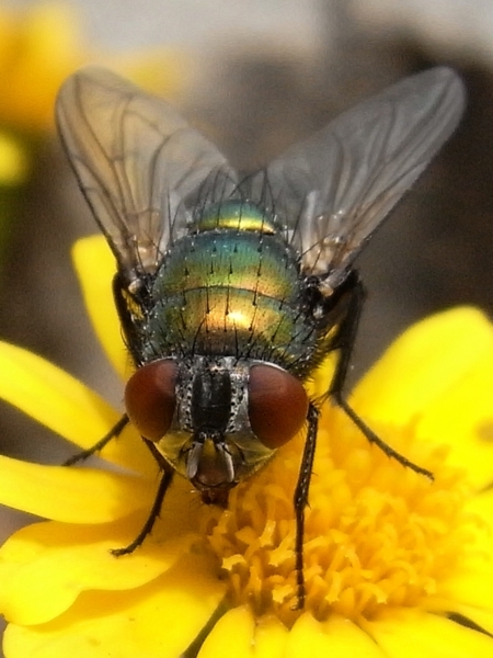 f:id:gzutetsu:20110515132002j:image