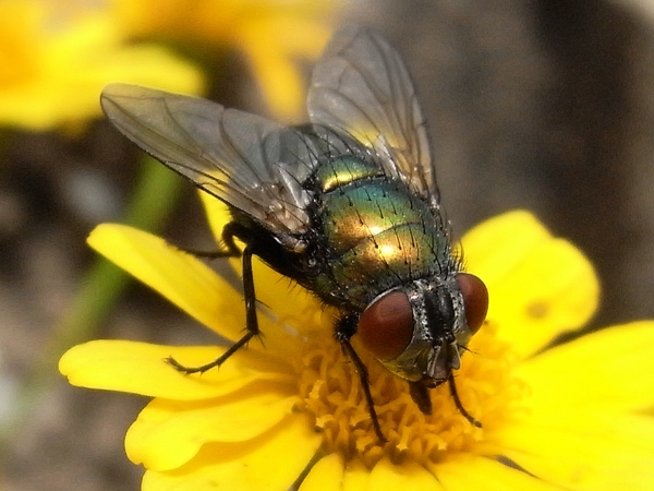 f:id:gzutetsu:20110515132005j:image