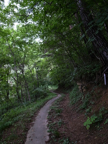 f:id:gzutetsu:20110811104838j:image