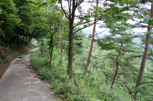 f:id:gzutetsu:20110811111129j:image