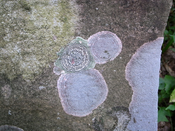 f:id:gzutetsu:20110811112712j:image