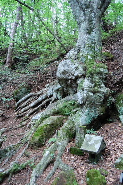 f:id:gzutetsu:20110811113250j:image