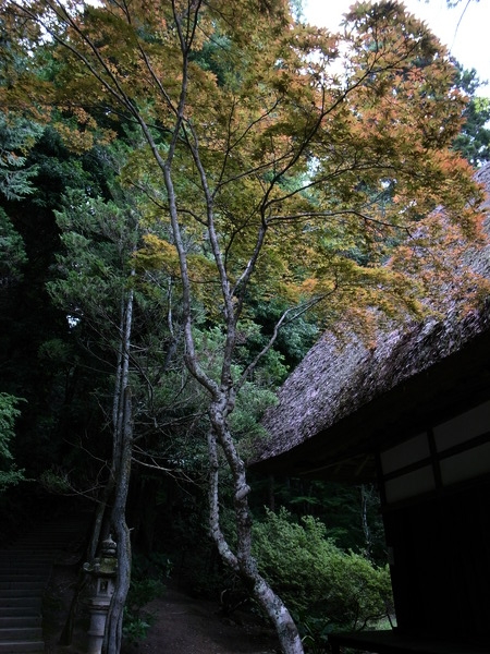 f:id:gzutetsu:20110811162825j:image