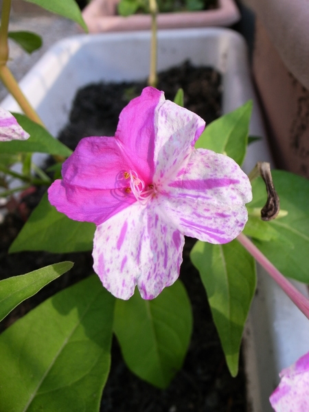f:id:gzutetsu:20110929075123j:image