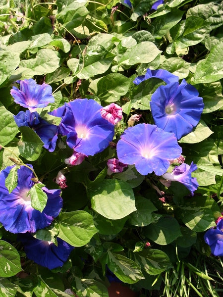 f:id:gzutetsu:20111010072810j:image f:id:gzutetsu:20111010072810j:image