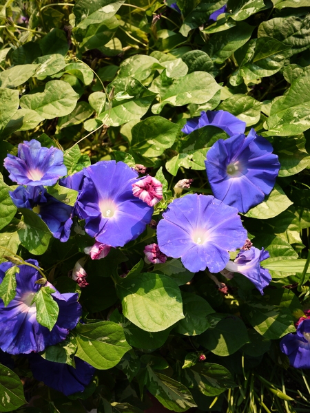 f:id:gzutetsu:20111010073114j:image f:id:gzutetsu:20111010073114j:image