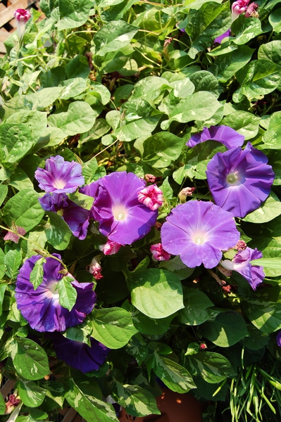 f:id:gzutetsu:20111010075944j:image f:id:gzutetsu:20111010075944j:image