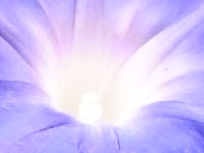 f:id:gzutetsu:20111016092144j:image