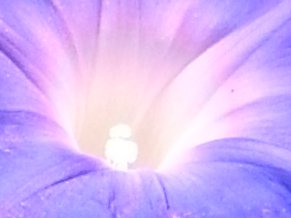 f:id:gzutetsu:20111016092230j:image