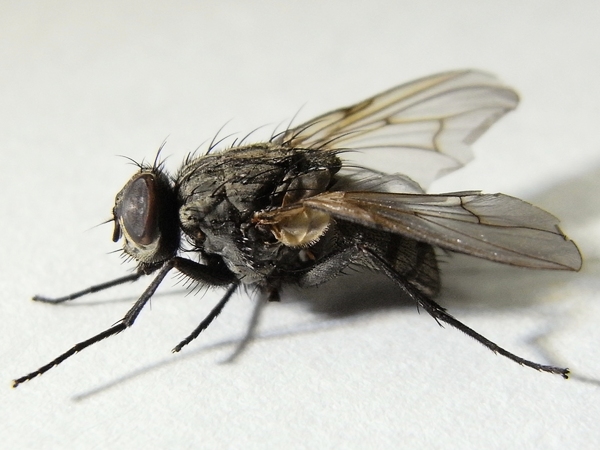 f:id:gzutetsu:20111021214807j:image