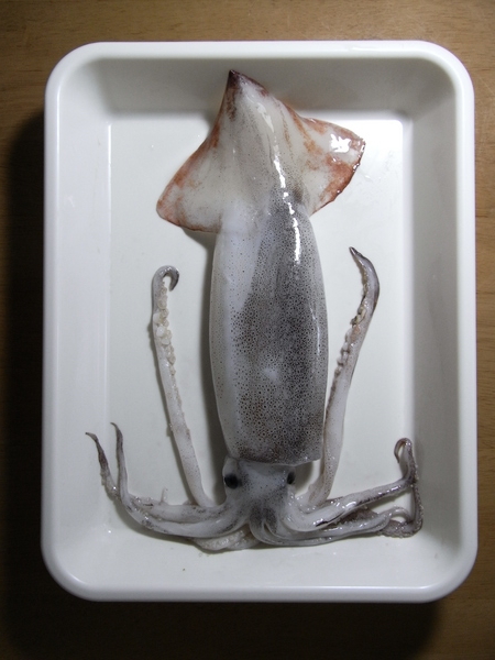 f:id:gzutetsu:20111023164150j:image
