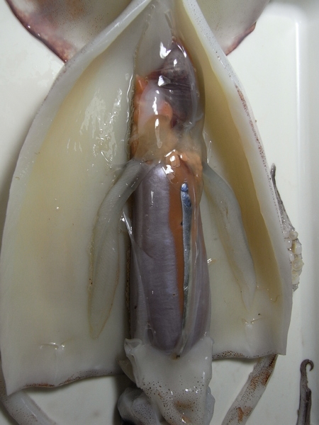 f:id:gzutetsu:20111023170004j:image