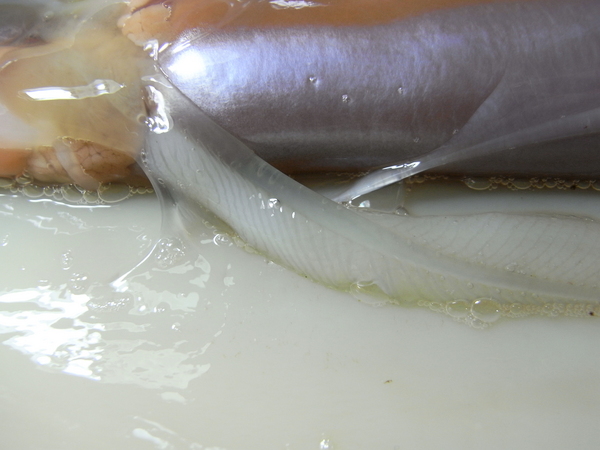 f:id:gzutetsu:20111023170046j:image