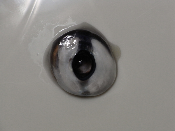 f:id:gzutetsu:20111023174112j:image