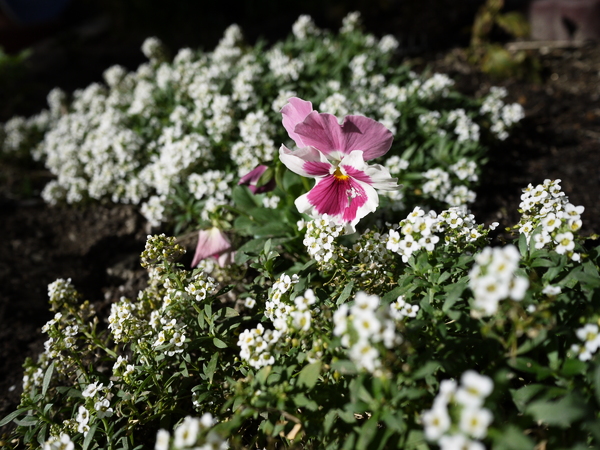 f:id:gzutetsu:20111204095209j:image