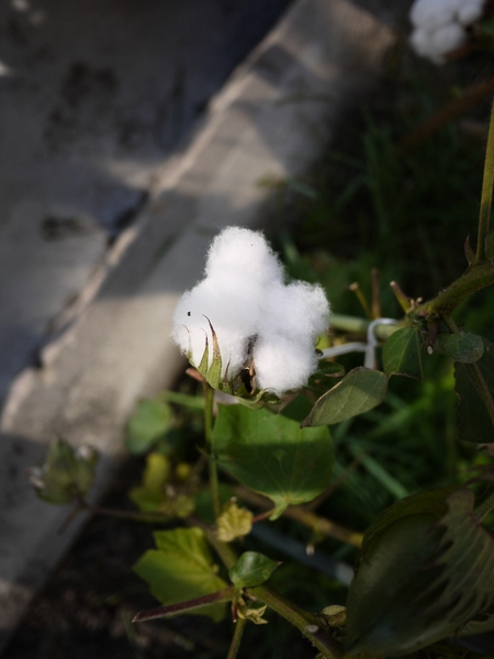 f:id:gzutetsu:20111204095459j:image