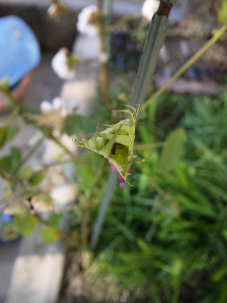 f:id:gzutetsu:20111204095652j:image