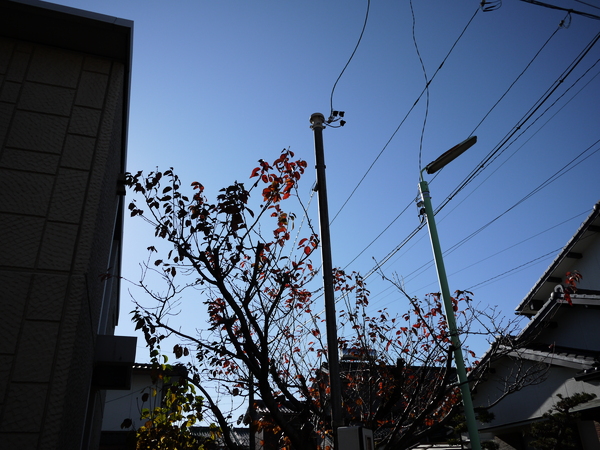 f:id:gzutetsu:20111204095835j:image