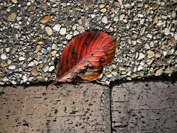 f:id:gzutetsu:20111204095913j:image