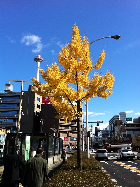 f:id:gzutetsu:20111209115340j:image