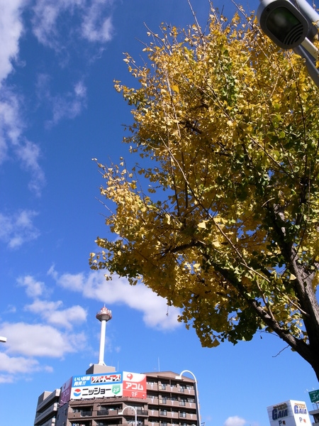 f:id:gzutetsu:20111209115358j:image