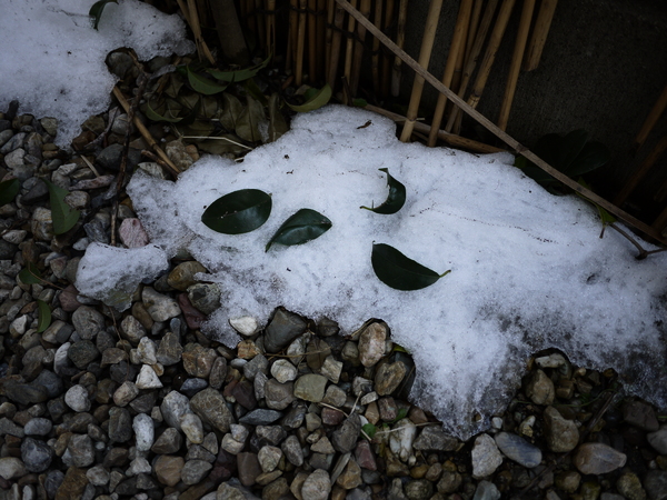 f:id:gzutetsu:20111229135137j:image