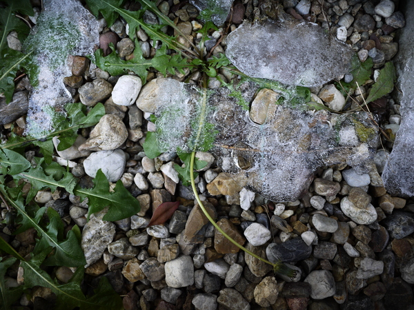 f:id:gzutetsu:20111229135518j:image