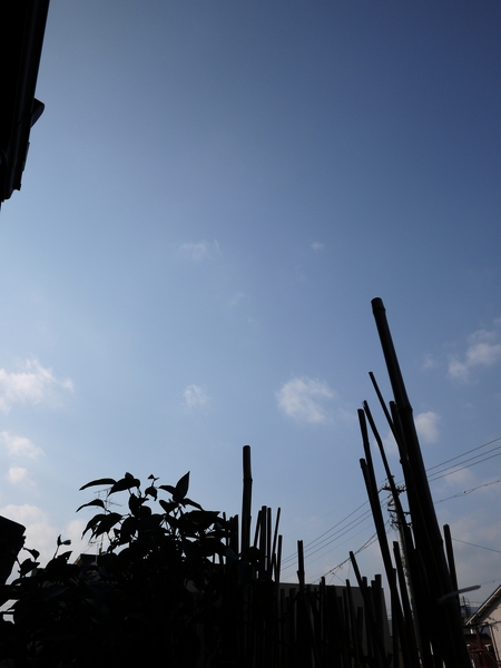 f:id:gzutetsu:20111229135648j:image