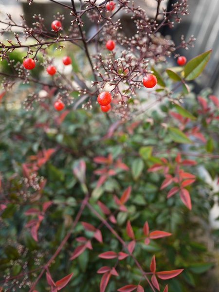 f:id:gzutetsu:20111229140159j:image