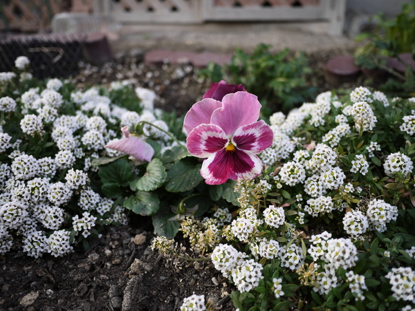 f:id:gzutetsu:20120122162802j:image