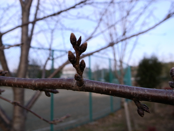 f:id:gzutetsu:20120122163235j:image
