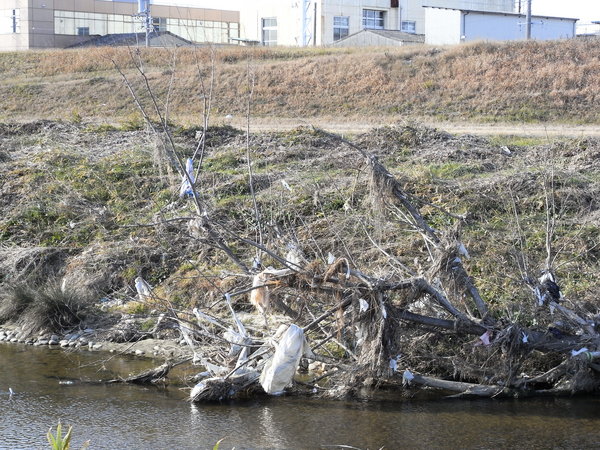 f:id:gzutetsu:20120129143136j:image