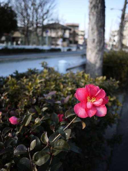 f:id:gzutetsu:20120129152026j:image